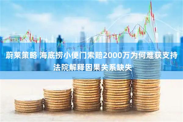 蔚莱策略 海底捞小便门索赔2000万为何难获支持 法院解释因果关系缺失