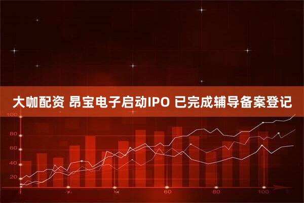 大咖配资 昂宝电子启动IPO 已完成辅导备案登记