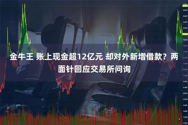 金牛王 账上现金超12亿元 却对外新增借款？两面针回应交易所问询