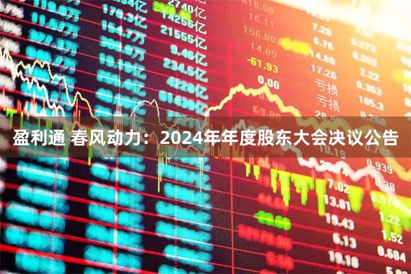 盈利通 春风动力：2024年年度股东大会决议公告