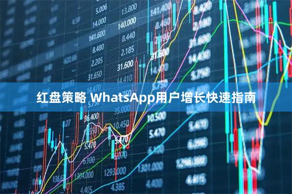 红盘策略 WhatsApp用户增长快速指南