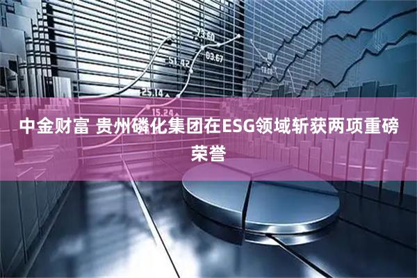 中金财富 贵州磷化集团在ESG领域斩获两项重磅荣誉