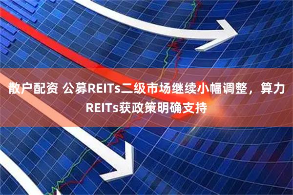 散户配资 公募REITs二级市场继续小幅调整，算力REITs获政策明确支持