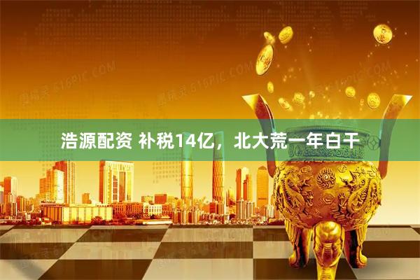 浩源配资 补税14亿，北大荒一年白干